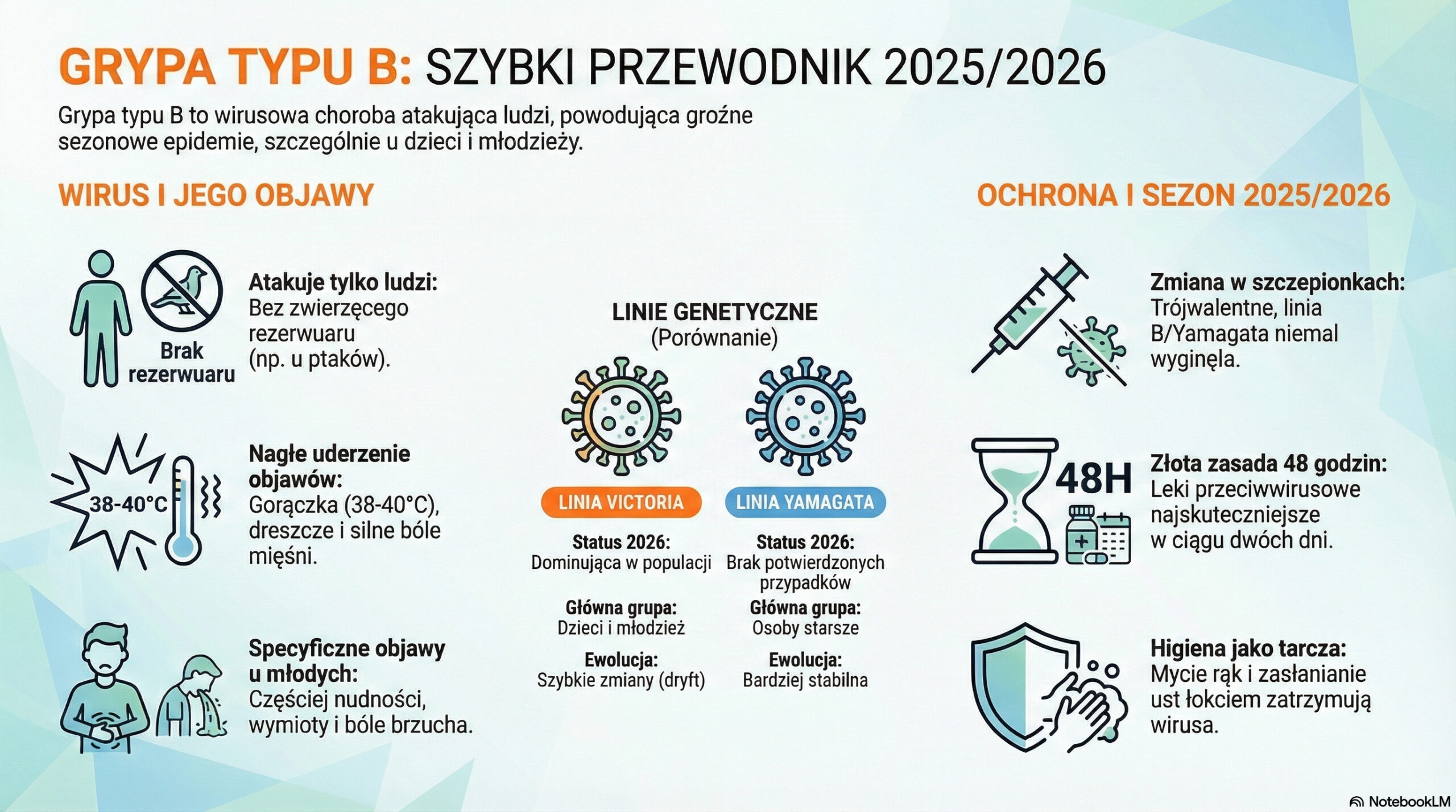 Grypa typu B - infografika